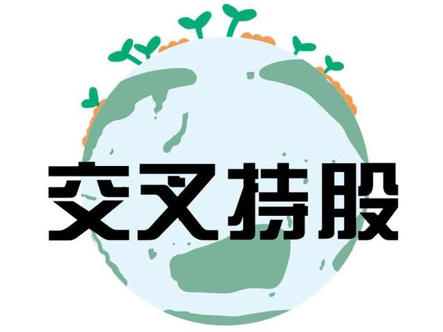 交叉持股安排设计(交叉持股怎么计算持股比例)攀枝花市